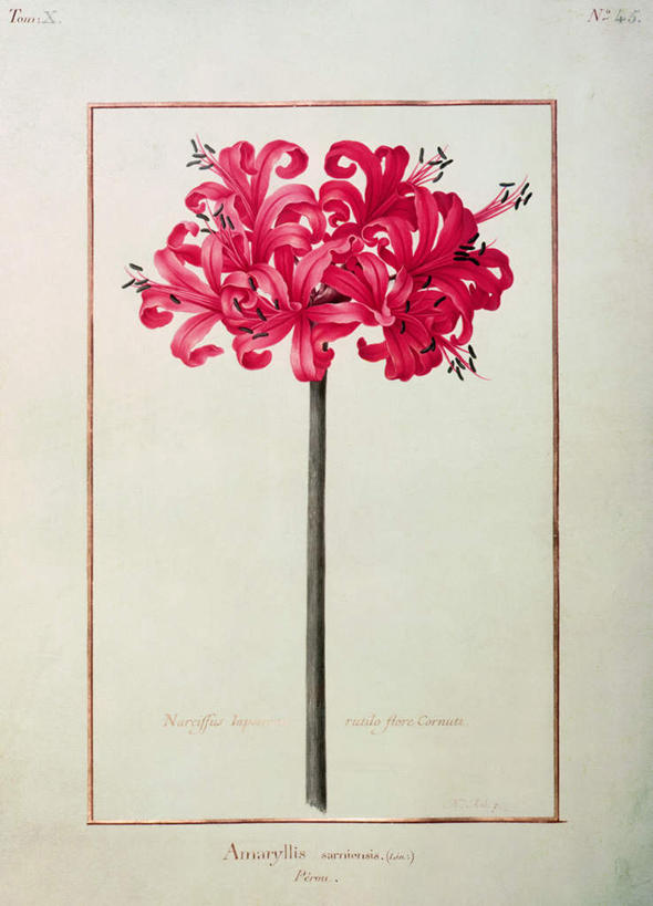 无人,花园,竖图,室内,白天,正面,绘画,花圃,油画,艺术,标志,文字,字符,字母,古典,文化,标识,一个,红色,工艺品,品味,单个,美术,高雅,美学,小花园,彩图