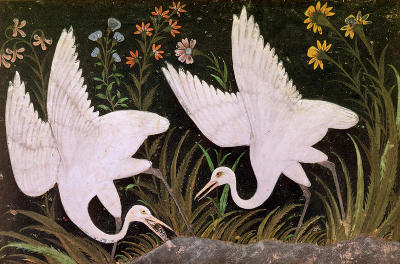 无人,站,横图,室内,白天,正面,绘画,草地,草坪,植物,鸟,油画,许多,伸展,张开,展翅,艺术,盛开,翅膀,鸟类,很多,古典,花蕾,注视,文化,草,花,花瓣,花朵,鲜花,黄色,绿色,工艺品,花苞,花蕊,低头,观察,看,品味,站着,张嘴,两只,观看,美术,察看,鹳,高雅,关注,白鹳,张大嘴巴,张开翅膀,美学,展开翅膀,张开嘴,站立,彩图,全身