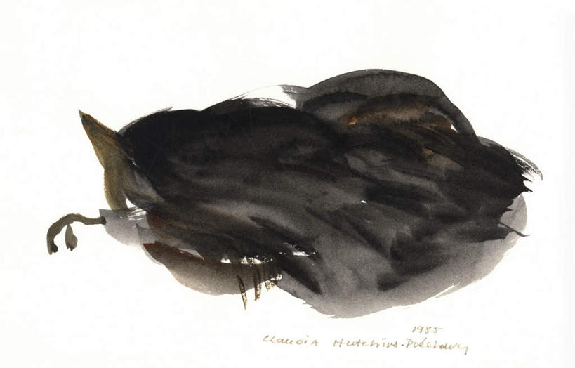 无人,睡,横图,室内,白天,白色背景,绘画,宠物,猫,蜷缩,艺术,古典,文化,一只,背面,黑色,动物,工艺品,趴着,品味,可爱,美术,水彩,水彩画,高雅,猫咪,美学,困,困觉,趴,寝息,睡觉,彩图,全身