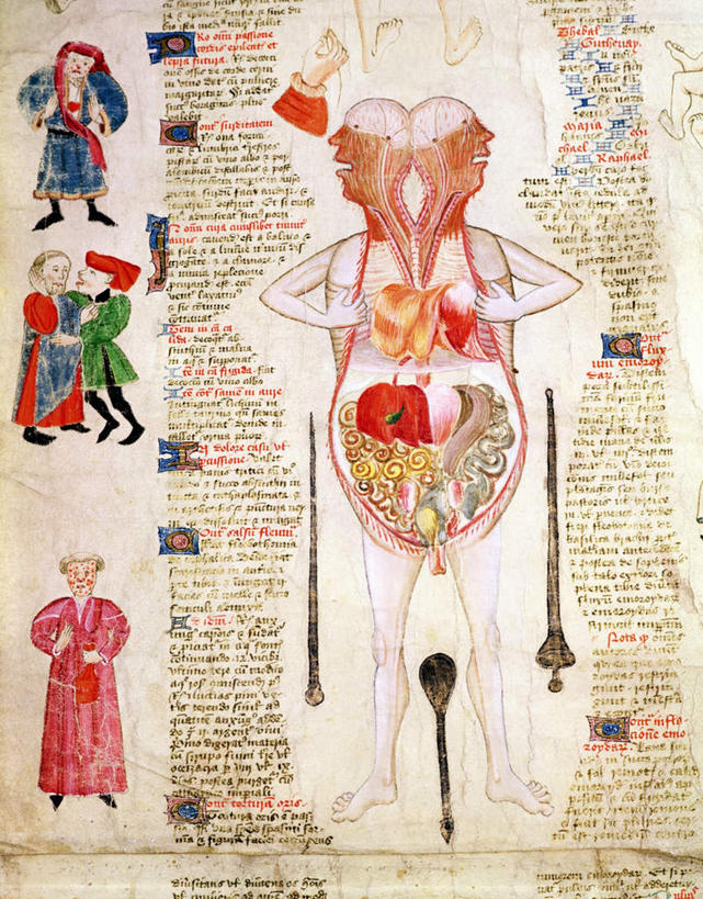 西方人,内脏,动脉,静脉,无人,站,竖图,室内,白天,正面,民族服装,绘画,静物,欧洲,欧洲人,服装,艺术,医学,材料,档案,文件,纸,许多人,古典,注视,文化,衣服,模型,手稿,资料,工艺品,观察,看,品味,站着,一群人,人体,服饰,观看,尸体,证明,美术,察看,生物学,人体器官,解剖,高雅,衣着,器官,穿着,关注,文档,生理学,美学,衣饰,尸身,遗体,男人,男性,女人,女性,中年男性,中年女性,白种人,站立,彩图,全身,传统服装,民俗服,剖解