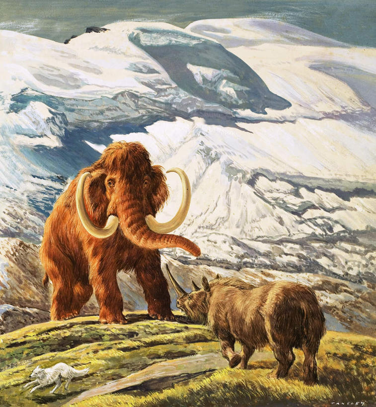 无人,站,竖图,室内,白天,正面,绘画,草地,草坪,山,雪,雪山,植物,大雪,哺乳动物,大象,狐狸,野生动物,油画,三只,艺术,冰,积雪,山峰,雪景,冬季,冬天,山峦,古典,注视,文化,草,绿色,动物,工艺品,观察,看,品味,站着,寒冷,观看,美术,察看,冰冷,高雅,关注,狡猾,凶猛,美学,严寒,冰凉,酷寒,凛冽,凛凛,极冷,狡诈,猛犸,长毛象,猛犸象,残暴,凶残,象,犀牛,站立,彩图,全身