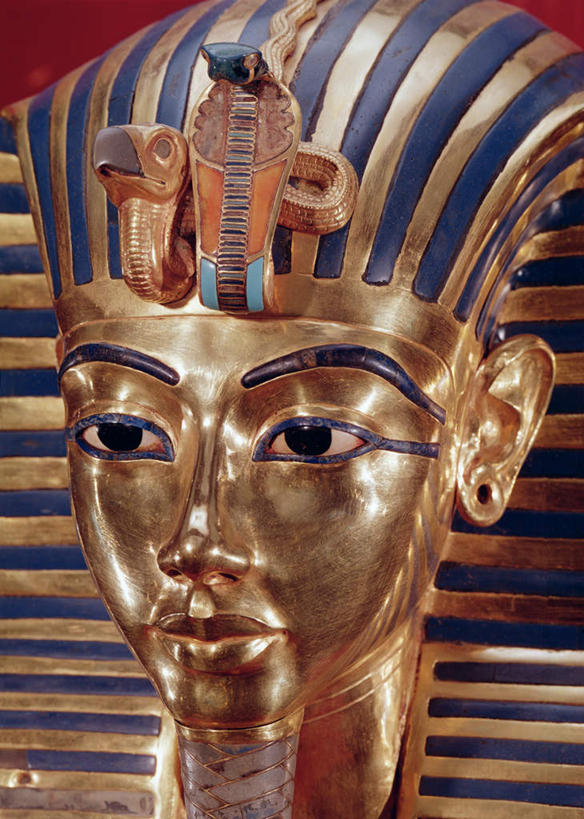 西方人,脸,头,眼睛,脸颊,眉毛,睫毛,一个人,无人,竖图,室内,特写,白天,正面,鸟,野生动物,雕塑,欧洲,非洲,黑人,欧洲人,瞳孔,仅一个男性,仅一个人,艺术,装饰,鸟类,爬行动物,蛇,秃鹫,雕刻,雕像,注视,仅一个年轻男性,动物,工艺品,观察,看,眼部,摄影,影棚,观看,纪念,美术,察看,有毒,法老,关注,冷血动物,主题,凶猛,脊椎动物,长虫,陈列,埃及法老,眼镜蛇,功能,美学,图坦卡蒙,残暴,凶残,男人,男性,年轻男性,非洲人,头部,睫,脸部,脸蛋,眉,面部,眼,眼睫毛,眼眉,座山雕,秃鹰,狗头鹫,半身,彩图,影棚拍摄,拍摄,眼眉毛,冷血