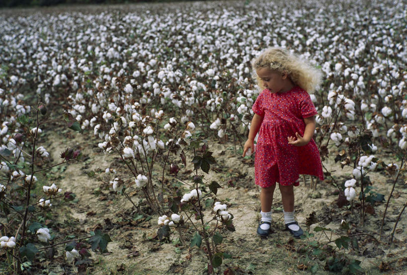 西方人,儿童,头发,一个人,站,笑,微笑,露齿笑,横图,俯视,室外,白天,裙子,纯洁,植物,欧洲,欧洲人,仅一个女性,仅一个人,握,阴影,连衣裙,服装,光线,影子,棉花,拿,拿着,注视,休闲装,小孩,衣服,红色,绿色,阳光,自然,观察,看,站着,仅一个小孩,休闲,休闲服,金色,可爱,童年,童趣,握着,服饰,生长,成长,观看,察看,毛发,关注,童真,烂漫,无邪,天真,女孩,女人,女性,白种人,孩子,卷发,站立,彩图,高角度拍摄,全身,女生