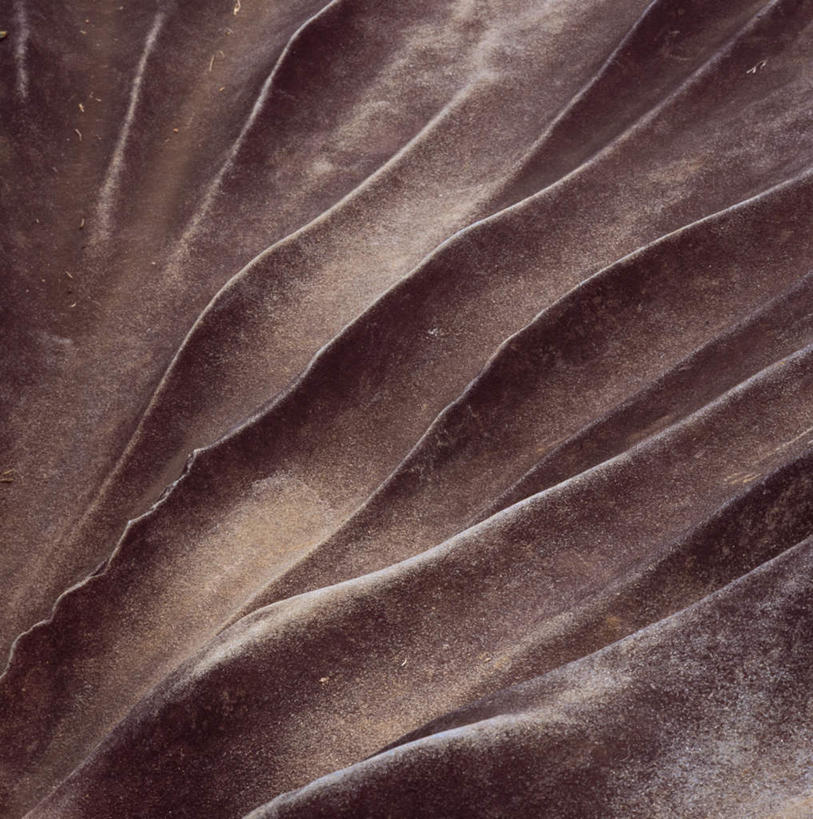 无人,竖图,俯视,航拍,室外,特写,白天,旅游,度假,石头,美景,山,山脉,圭亚那,阴影,光线,纹路,石子,纹理,影子,景观,山峰,山峦,娱乐,阳光,自然,群山,享受,休闲,景色,南美,放松,南美洲,拉丁美洲,鸟瞰,自然风光,美洲,沉积岩,肌理,亚美利加洲,南亚美利加洲,圭亚那合作共和国,水成岩,石块,岩石,彩图,高角度拍摄