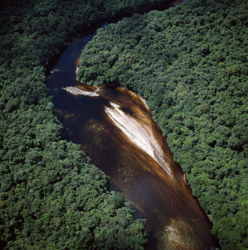 无人,竖图,俯视,航拍,室外,白天,旅游,度假,河流,美景,森林,树林,水,植物,圭亚那,阴影,光线,影子,河水,景观,水流,娱乐,树,树木,绿色,阳光,自然,享受,休闲,旅游胜地,景色,南美,放松,生长,成长,南美洲,拉丁美洲,鸟瞰,自然风光,美洲,亚美利加洲,南亚美利加洲,圭亚那合作共和国,彩图,高角度拍摄