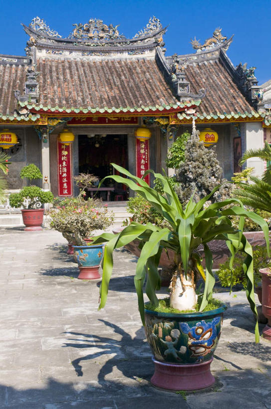 无人,家,竖图,室外,白天,正面,旅游,度假,植物,照明,越南,亚洲,阴影,盛开,光线,灯笼,盆栽,影子,纸灯笼,房屋,墙,屋子,盆景,花蕾,娱乐,楼房,墙壁,墙面,住宅,花,花瓣,花朵,鲜花,蓝色,绿色,蓝天,天空,阳光,自然,灯具,天,花苞,花蕊,享受,休闲,放松,东南亚,生长,晴朗,成长,照亮,照明设备,万里无云,越南社会主义共和国,会安,晴空,晴空万里,彩图,房子