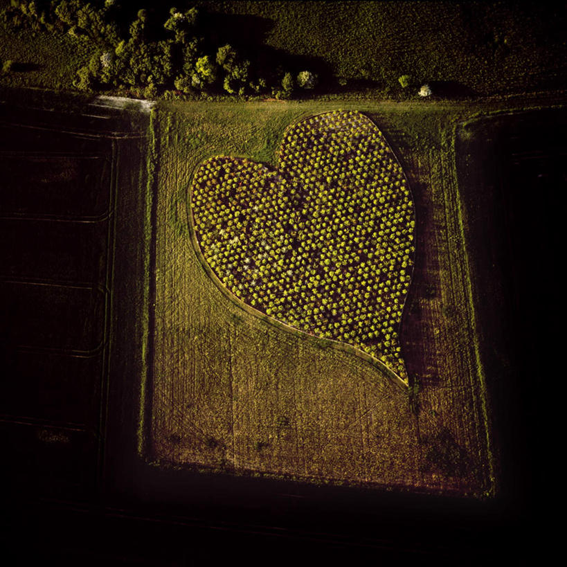 无人,农田,方图,俯视,航拍,室外,白天,爱情,旅游,度假,庄稼,农作物,石头,美景,英国,欧洲,阴影,爱心,丰富,丰收,光线,石子,影子,景观,丰盛,浪漫,娱乐,阳光,自然,享受,休闲,温暖,温馨,心形,景色,恩爱,放松,和睦,西欧,鸟瞰,自然风光,大不列颠,大不列颠及北爱尔兰联合王国,大不列颠联合王国,日不落英帝国,丰登,丰硕,威尔特郡,心型,石块,岩石,彩图,高角度拍摄,耕地,庄稼田,融洽