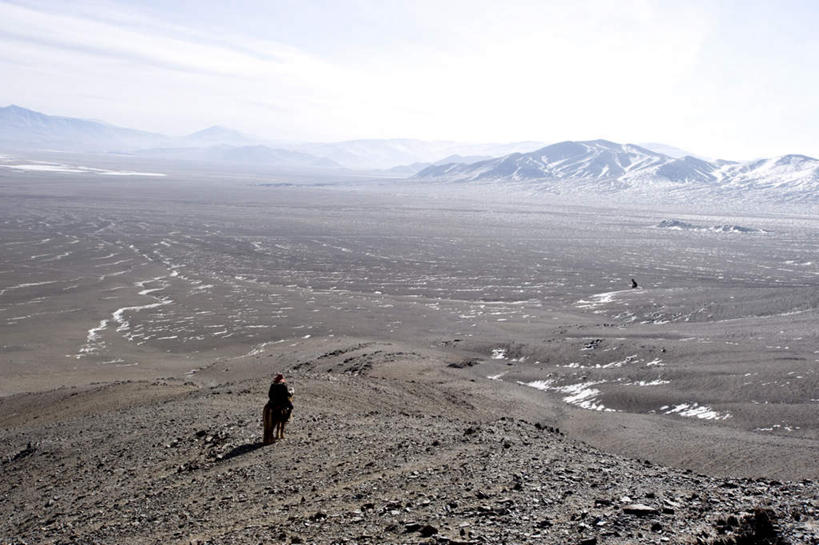 东方人,一个人,横图,俯视,室外,白天,旅游,度假,石头,美景,山,山脉,马,野生动物,蒙古,亚洲,仅一个男性,仅一个人,仅一个中年男性,骑马,阴影,服装,朦胧,模糊,光线,石子,影子,景观,山峰,云,云朵,山峦,云彩,休闲装,黄种人,娱乐,一匹,骑,衣服,蓝色,白云,蓝天,天空,阳光,自然,动物,群山,天,享受,休闲,休闲服,景色,放松,运输,服饰,牲畜,晴朗,自然风光,东亚,巴彦乌勒盖省,巴彦乌列盖,草原之国,蒙古国,外蒙,外蒙古,男人,男性,中年男性,亚洲人,石块,岩石,晴空,彩图,高角度拍摄,全身