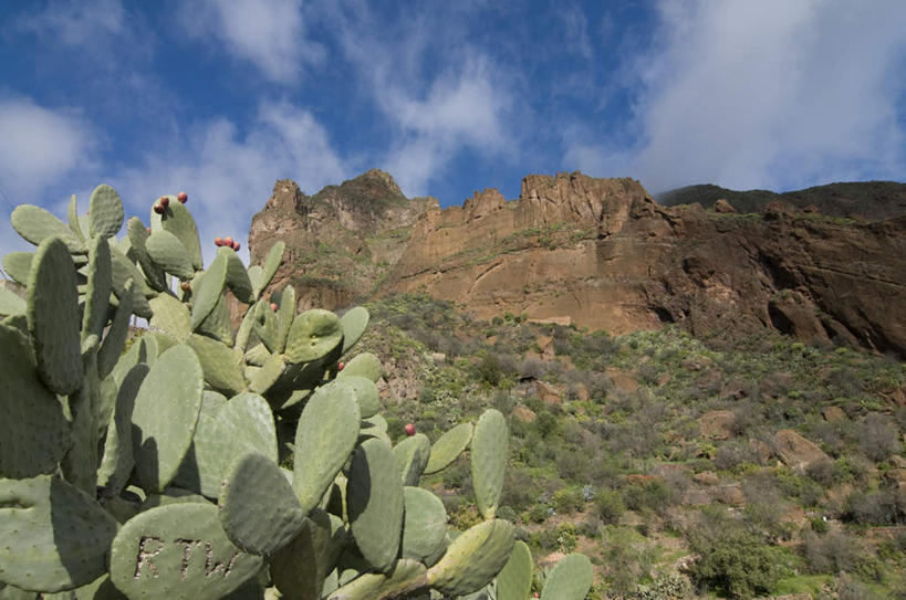 无人,横图,室外,白天,仰视,旅游,度假,草地,草坪,石头,美景,山,山脉,植物,仙人掌,西班牙,欧洲,阴影,光线,火焰,石子,影子,景观,山峰,云,云朵,草药,山峦,云彩,娱乐,中药,草,蓝色,绿色,白云,蓝天,天空,阳光,自然,群山,天,享受,休闲,景色,放松,晴朗,连绵,绵延,加纳利群岛,南欧,自然风光,加那利群岛,药材,中草药,中药材,本草,西班牙王国,牛舌头,绵亘,大加纳利岛,石块,岩石,晴空,玉芙蓉,仙巴掌,火掌,霸王树,彩图,低角度拍摄