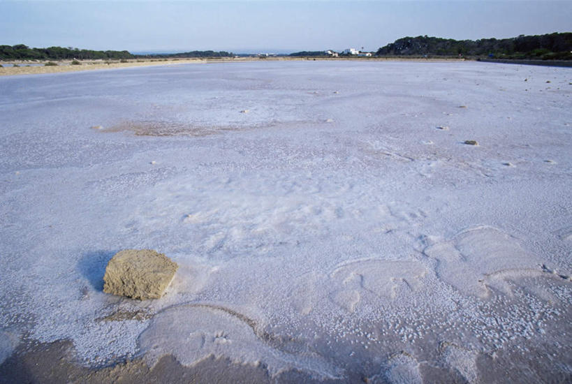 无人,横图,室外,白天,正面,旅游,度假,湖,湖泊,美景,沙滩,水,植物,欧洲,阴影,光线,沙子,影子,海岸,湖面,景观,水流,水面,调料,盐,沙地,调味品,调味料,娱乐,食盐,树,树木,蓝色,绿色,蓝天,天空,阳光,自然,湖水,天,享受,休闲,景色,放松,生长,晴朗,成长,南欧,自然风光,伊比利亚半岛,万里无云,盐湖,伊比利亚,海滩,晴空,晴空万里,彩图
