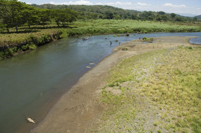 无人,横图,俯视,室外,白天,草地,草坪,河流,美景,山,山脉,水,植物,鳄鱼,野生动物,哥斯达黎加,许多,阴影,波纹,光线,爬行动物,影子,河水,景观,山峰,水流,云,云朵,涟漪,山峦,云彩,注视,草,树,树木,蓝色,绿色,白云,倒影,蓝天,水纹,天空,阳光,自然,动物,波浪,群山,天,观察,看,趴着,景色,生长,晴朗,成长,观看,连绵,察看,倒映,北美,北美洲,猛烈,绵延,关注,自然风光,美洲,凶猛,凶悍,美洲鳄,水晕,北亚美利加洲,亚美利加洲,勇猛,哥斯达黎加共和国,厉害,联贯,反照,残暴,凶残,晴空,趴,彩图,高角度拍摄,全身