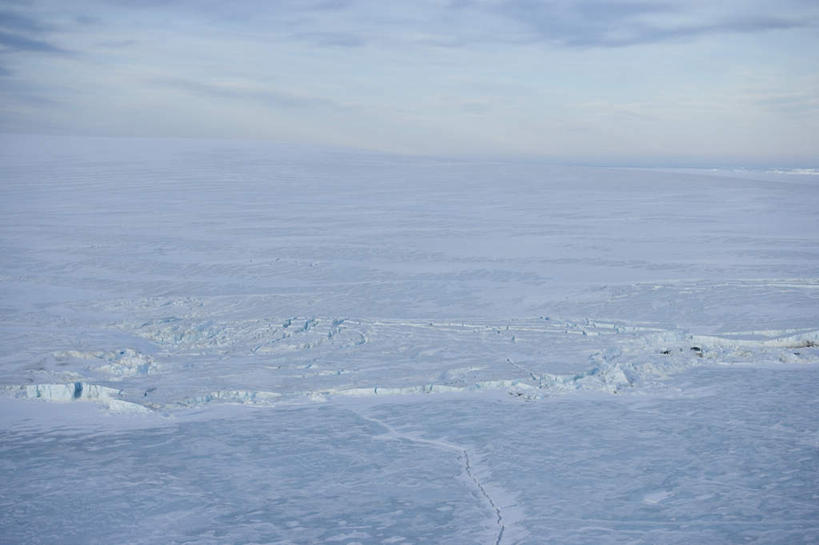 无人,横图,俯视,室外,白天,旅游,度假,南极,美景,阴影,破碎,缝隙,裂缝,光线,影子,冰,景观,娱乐,冰川,白色,阳光,自然,浮冰,享受,休闲,景色,放松,寒冷,冰冷,卫生,碎裂,破裂,自然风光,南极洲,分裂,冰河,漏洞,纯真,严寒,洁净,冰凉,酷寒,凛冽,凛凛,极冷,流冰,浮冰块,光明,恬静,中间色,朴素,清白,南极大陆,南极地区,南极区,南极圈,第七大陆,彩图,高角度拍摄