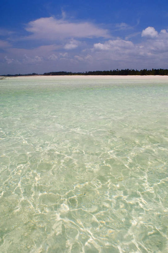 无人,竖图,俯视,室外,白天,旅游,度假,海浪,海洋,美景,沙滩,植物,非洲,坦桑尼亚,阴影,光线,沙子,影子,地平线,海岸,景观,浪花,云,云朵,辽阔,地面,沙地,云彩,娱乐,树,树木,蓝色,绿色,白云,蓝天,天空,阳光,自然,海水,天,享受,休闲,广阔,景色,放松,生长,晴朗,成长,一望无际,自然风光,延伸,海景,天地相交,东非,桑给巴尔,坦桑尼亚联合共和国,占吉巴,无边无际,一马平川,大海,风浪,海,海水的波动,海滩,近岸浪,涌浪,晴空,彩图,高角度拍摄