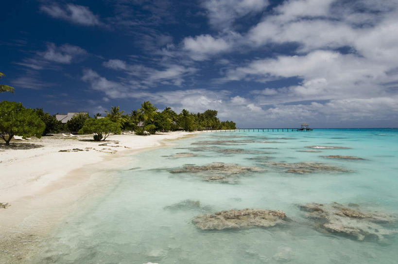 无人,横图,室外,白天,正面,旅游,度假,海浪,海洋,美景,沙滩,植物,棕榈树,叶子,法国,欧洲,沙子,海岸,景观,浪花,云,云朵,绿叶,沙地,云彩,娱乐,树,树木,蓝色,绿色,白云,蓝天,天空,自然,海水,天,享受,休闲,嫩叶,景色,放松,生长,晴朗,成长,自然风光,海景,棕榈叶,波利尼西亚,法属波利尼西亚,法兰西共和国,法兰西第五共和国,土阿莫土群岛,叶,叶片,大海,风浪,海,海水的波动,海滩,近岸浪,涌浪,晴空,彩图