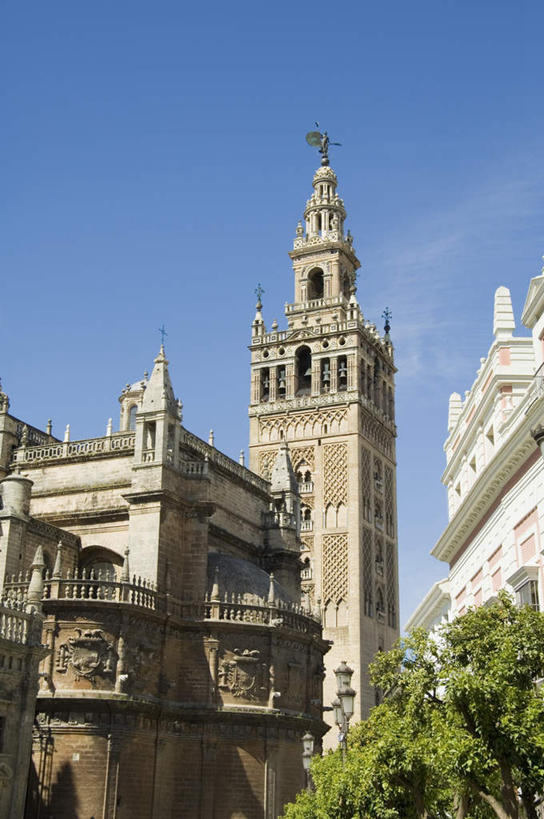 西方人,教堂,竖图,室外,白天,正面,旅游,度假,名胜古迹,植物,标志建筑,地标,建筑,西班牙,欧洲,欧洲人,阴影,节日,遗迹,光线,影子,许多人,古迹,文化,文物,娱乐,建设,古建筑,安达卢西亚,塞维利亚大教堂,树,树木,蓝色,绿色,蓝天,天空,阳光,自然,天,祈祷,一群人,享受,休闲,健康,旅游胜地,放松,许愿,宗教,信仰,生长,成长,纪念,祈求,南欧,安达鲁西亚,信念,古文明,西班牙王国,安达卢西亚自治区,平安,白种人,彩图,全身,大教堂,礼拜堂