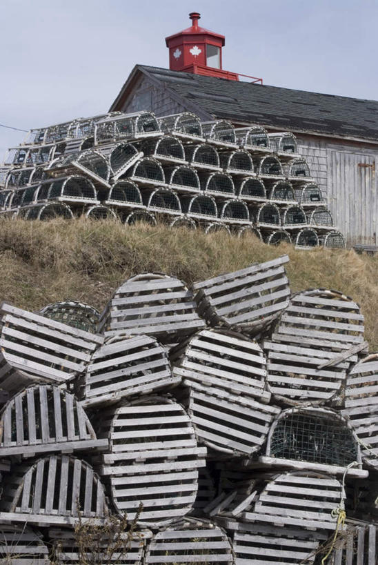 无人,家,竖图,室外,白天,仰视,旅游,度假,美景,植物,门,道路,加拿大,许多,阴影,堆积,枯萎,光线,信息,影子,房屋,墙,屋顶,屋子,景观,枯草,灯塔,交通,很多,顶棚,方向,娱乐,楼房,墙壁,墙面,住宅,草,黄色,蓝色,蓝天,天空,阳光,自然,门框,天,享受,休闲,景色,放松,渔网,晴朗,引导,指引,渔具,北美,北美洲,抓捕,自然风光,聚集,美洲,捕捞,鱼网,积累,新斯科舍,万里无云,拉网,捕捞工具,北亚美利加洲,亚美利加洲,航标,布雷顿角岛,新斯科舍省,聚积,沉积,堆集,晴空,晴空万里,彩图,低角度拍摄,房子,导航