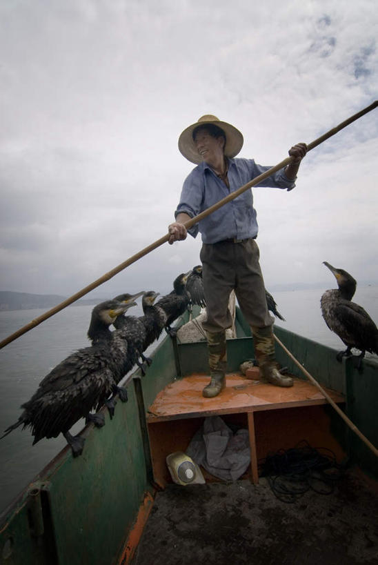 东方人,一个人,站,笑,微笑,露齿笑,竖图,室外,白天,仰视,旅游,度假,纯洁,海浪,海洋,美景,船,竹子,鸟,帽子,大理,中国,亚洲,仅一个男性,仅一个人,仅一个中年男性,一排,一艘,许多,握,阴影,波纹,服装,整齐,光线,鸬鹚,鸟类,草帽,影子,景观,浪花,云,云朵,木船,涟漪,很多,拿,云彩,拿着,注视,休闲装,黄种人,娱乐,捕鱼,云南,竹竿,排列,衣服,蓝色,白云,倒影,蓝天,水纹,天空,阳光,自然,海水,交通工具,波浪,天,观察,看,站着,享受,休闲,休闲服,景色,放松,握着,服饰,晴朗,观看,察看,倒映,高雅,舟,队列,关注,自然风光,载具,海景,鱼鹰,水老鸦,东亚,云南省,中华人民共和国,水晕,西南地区,奉献,质朴,正直,滇,大理州,大理白族自治州,担当,反照,男人,男性,中年男性,亚洲人,大海,风浪,海,海水的波动,近岸浪,涌浪,晴空,竹,站立,彩图,低角度拍摄,全身,奋进,操守,四君子,岁寒三友,性坚,虚怀,虚心,善群,卓尔