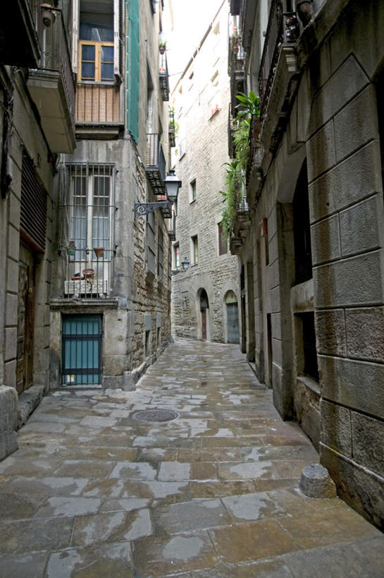 无人,家,竖图,室外,白天,正面,度假,美景,植物,窗户,城市风光,城市,西班牙,欧洲,巴塞罗那,阴影,光线,盆栽,影子,房屋,屋子,景观,小巷,盆景,娱乐,楼房,玻璃窗,住宅,绿色,阳光,自然,享受,休闲,景色,放松,生长,成长,南欧,首府,加泰罗尼亚,西班牙王国,冷巷,彩图,房子