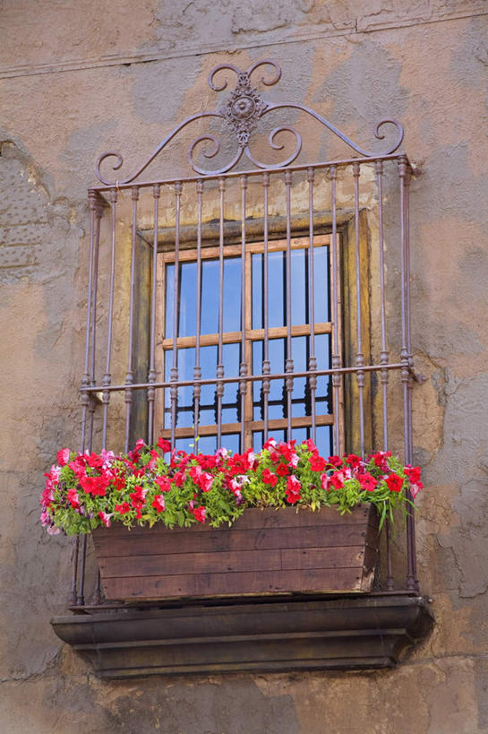 无人,家,竖图,室外,特写,白天,仰视,旅游,度假,植物,窗户,标志建筑,地标,建筑,叶子,墨西哥,许多,盛开,房屋,墙,屋子,绿叶,娱乐,建设,楼房,玻璃窗,墙壁,墙面,住宅,花,花瓣,花朵,花卉,鲜花,红色,花蕊,享受,休闲,嫩叶,旅游胜地,放松,北美,北美洲,美洲,北亚美利加洲,亚美利加洲,墨西哥合众国,仙人掌王国,北下加利福尼亚,北下加利福尼亚州,下加利福尼亚州,叶,叶片,彩图,低角度拍摄,房子