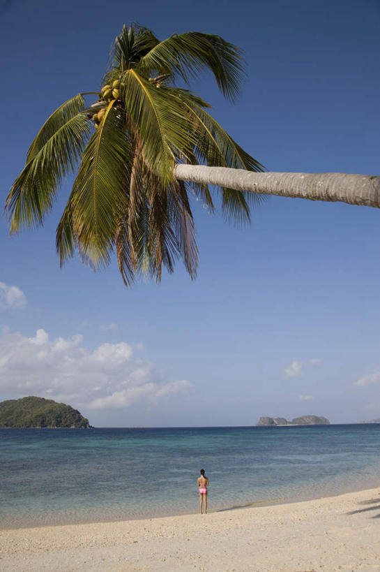 东方人,一个人,走,竖图,室外,白天,正面,旅游,度假,岛屿,海浪,海洋,美景,沙滩,植物,棕榈树,叶子,菲律宾,亚洲,仅一个女性,仅一个人,阴影,服装,光线,沙子,影子,岛,海岸,景观,浪花,水平线,云,云朵,辽阔,绿叶,海平线,沙地,云彩,注视,休闲装,黄种人,娱乐,树,树木,衣服,蓝色,绿色,白云,蓝天,天空,阳光,自然,海水,天,观察,看,仅一个中年女性,享受,休闲,广阔,休闲服,嫩叶,景色,放松,服饰,东南亚,生长,晴朗,成长,观看,一望无际,察看,关注,自然风光,海景,棕榈叶,菲律宾共和国,无边无际,一马平川,巴拉望,巴拉望岛,女人,女性,中年女性,亚洲人,叶,叶片,大海,风浪,海,海水的波动,海滩,近岸浪,列岛,群岛,涌浪,诸岛,晴空,步行,散步,走路,彩图,全身,水天相接,水天一线