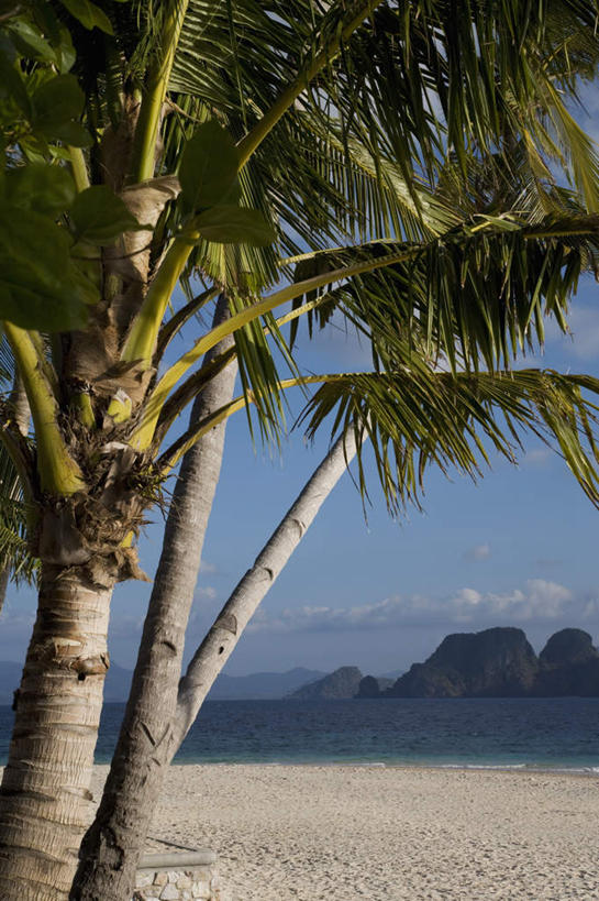 无人,竖图,室外,白天,正面,旅游,度假,岛屿,海浪,海洋,美景,沙滩,山,山脉,植物,棕榈树,叶子,菲律宾,亚洲,阴影,波纹,生气,光线,沙子,影子,岛,海岸,景观,浪花,山峰,绿叶,涟漪,沙地,山峦,娱乐,树,树木,蓝色,绿色,倒影,蓝天,水纹,天空,阳光,自然,海水,波浪,群山,天,享受,休闲,嫩叶,景色,放松,活力,东南亚,茂盛,生长,晴朗,成长,生机,连绵,繁茂,倒映,绵延,自然风光,海景,棕榈叶,万里无云,水晕,兴旺,昌盛,菲律宾共和国,绵亘,反照,昌隆,畅旺,发达,蕃芜,繁盛,富强,隆盛,蓬勃,旺盛,兴隆,兴盛,郁勃,活气,巴拉望,巴拉望岛,叶,叶片,大海,风浪,海,海水的波动,海滩,近岸浪,列岛,群岛,涌浪,诸岛,晴空,晴空万里,彩图