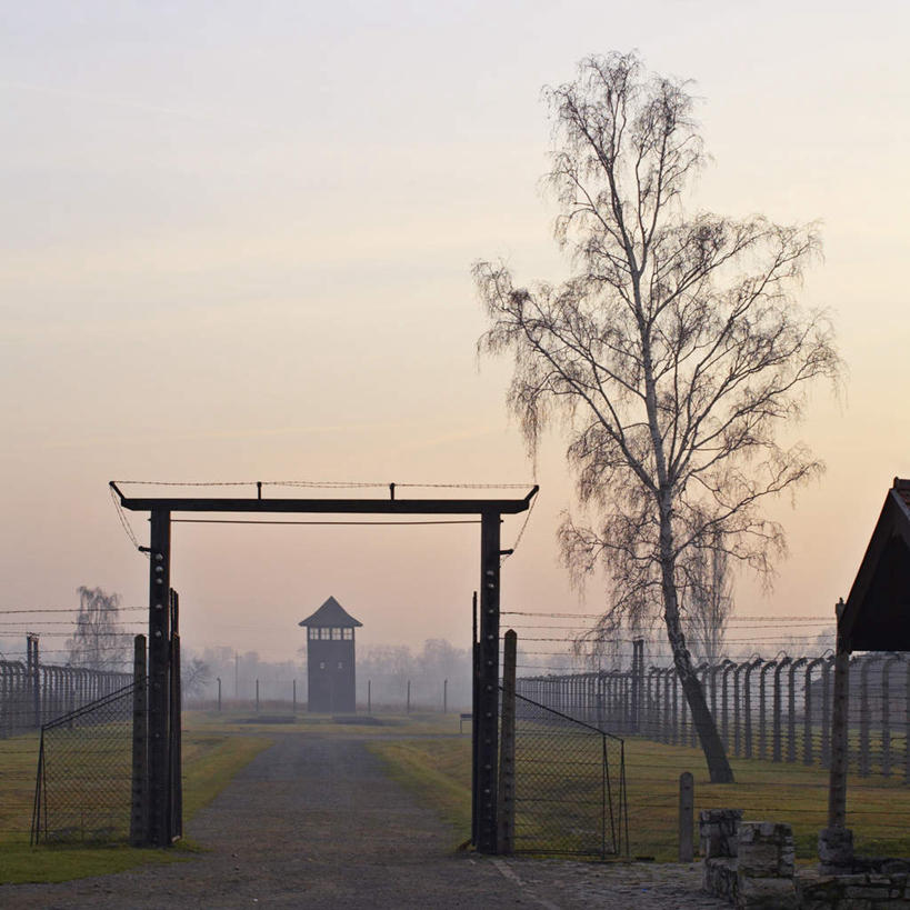 无人,栏杆,横图,室外,白天,正面,旅游,度假,竞争,高科技,科技,草地,草坪,名胜古迹,日落,植物,标志建筑,道路,地标,建筑,路,欧洲,波兰,对抗,遗迹,冲突,军事,科学,栅栏,篱笆,晚霞,霞光,落日,围栏,小路,交通,古迹,破坏,文物,娱乐,建设,古建筑,护栏,草,树,树木,绿色,自然,黄昏,享受,休闲,武器,旅游胜地,彩霞,放松,战争,监狱,工业,生长,成长,损坏,监禁,攻击,恐怖,束缚,威胁,对立,矛盾,兵器,防御,关押,监牢,战斗,牢狱,古文明,军方,军工业,中欧,国防,敌对,挫败,斗争,抗拒,抗衡,杀伤,威慑,战役,监管,禁闭,夕照,波兰共和国,集中营,危险,看守,夕阳,彩图,斜阳