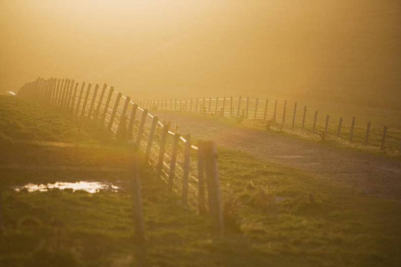 无人,农田,栏杆,横图,俯视,室外,白天,旅游,度假,农业,庄稼,农作物,草地,草坪,美景,植物,道路,路,英国,欧洲,阴影,模糊,平静,光线,影子,稻田,景观,围栏,小路,交通,娱乐,护栏,苏格兰,草,绿色,阳光,自然,享受,休闲,景色,安静,放松,宁静,西欧,静谧,自然风光,大不列颠,大不列颠及北爱尔兰联合王国,镇静,冷静,沉静,大不列颠联合王国,日不落英帝国,恬静,安祥,僻静,清静,太平,苏格兰王国,含糊,恍惚,模胡,依稀,隐约,奥克尼群岛,彩图,高角度拍摄,耕地,庄稼田