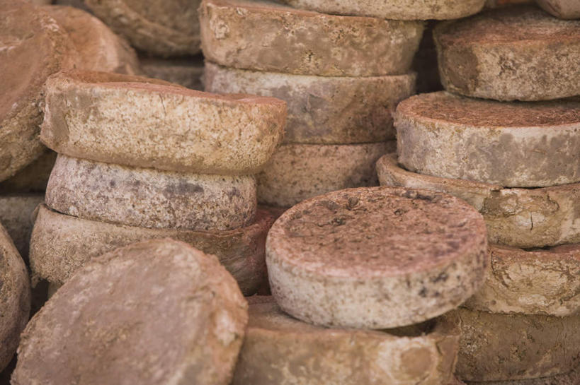 奶酪,无人,商店,横图,室内,特写,白天,正面,购物,消费,超市,一排,许多,形状,整齐,圆形,干酪,起司,芝士,很多,营养,排列,乳酪,金融,百货,便利店,堆,乳制品,队列,发酵,选购,贸易,血拼,零售店,形态,外形,彩图,店铺,杂货店,杂货铺