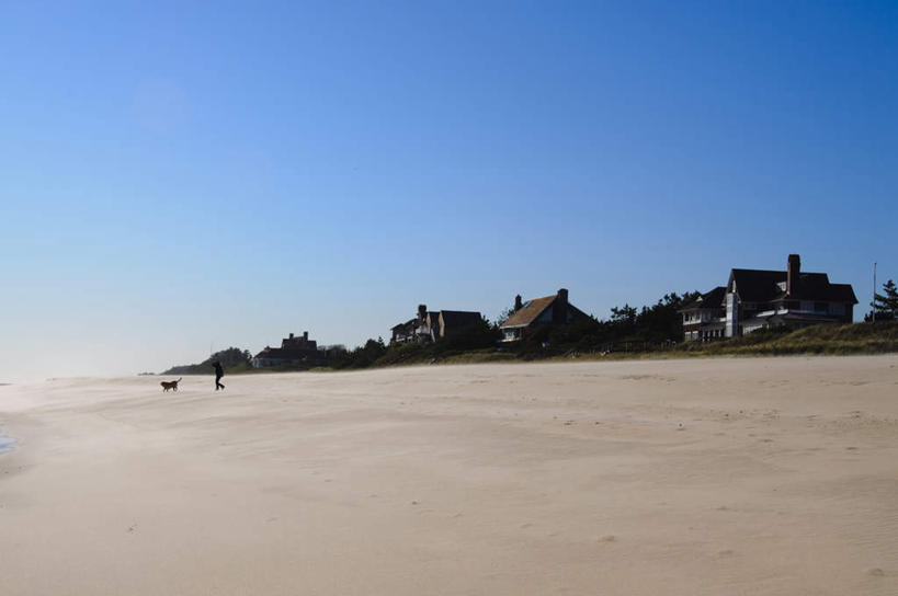 西方人,一个人,横图,室外,白天,正面,旅游,度假,沙滩,植物,建筑,宠物,狗,欧洲,美国,欧洲人,仅一个男性,仅一个人,阴影,光线,沙子,影子,房屋,海岸,浪,沙地,娱乐,仅一个年轻男性,一只,蓝色,绿色,蓝天,天空,阳光,自然,动物,天,享受,休闲,旅游胜地,放松,可爱,生长,晴朗,成长,北美,北美洲,美洲,忠诚,长岛,纽约州,万里无云,北亚美利加洲,亚美利加洲,汉普顿,男人,男性,年轻男性,白种人,海滩,晴空,晴空万里,犬,彩图,全身