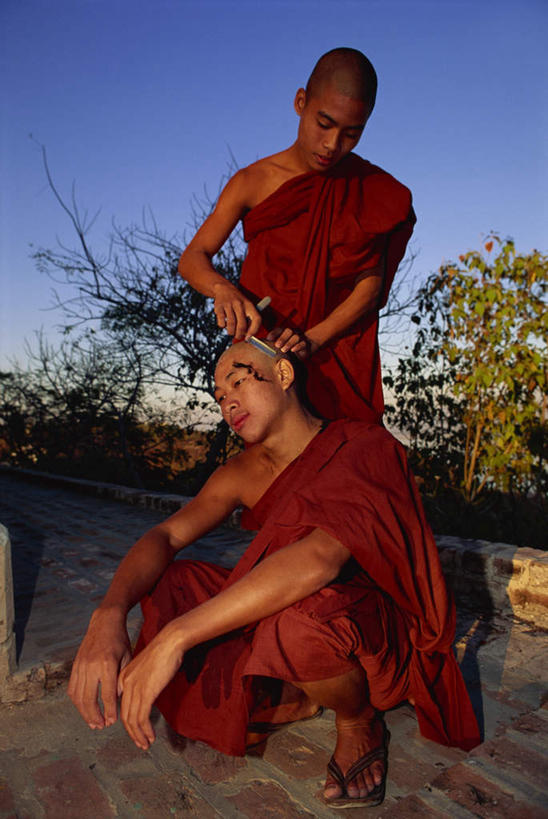 东方人,两个人,和尚,蹲,竖图,室外,白天,正面,植物,道路,路,亚洲,握,阴影,服装,光线,影子,砖块,小路,交通,拿,拿着,注视,黄种人,树,树木,剃头,衣服,蓝色,绿色,蓝天,天空,阳光,自然,天,观察,看,握着,服饰,生长,晴朗,成长,观看,剪发,察看,衣着,穿着,关注,僧服,万里无云,衣饰,男人,男性,年轻男性,亚洲人,晴空,晴空万里,剃刀,比丘,高僧,僧,僧侣,僧人,沙弥,修行僧,蹲着,彩图,全身,理发