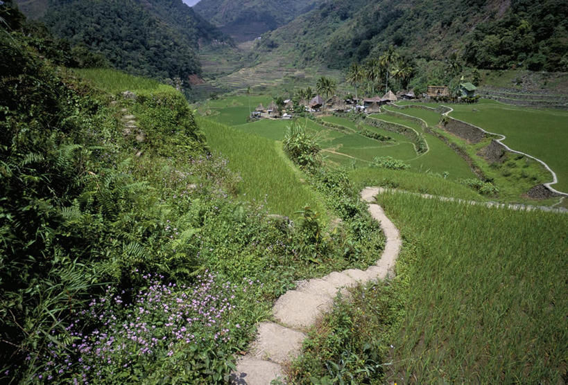 无人,家,农场,横图,室外,白天,正面,旅游,度假,畜牧业,牧场,草地,草坪,岛屿,石头,美景,山,山脉,植物,道路,路,菲律宾,亚洲,阴影,盛开,光线,石子,影子,房屋,屋子,岛,景观,山峰,小路,交通,山峦,花蕾,娱乐,楼房,住宅,草,花,花瓣,花朵,鲜花,树,树木,绿色,阳光,自然,群山,花苞,花蕊,享受,休闲,景色,放松,东南亚,乡间小路,生长,成长,自然风光,畜牧,牧业,菲律宾共和国,菲律宾群岛,吕宋岛,列岛,群岛,石块,岩石,诸岛,彩图,房子