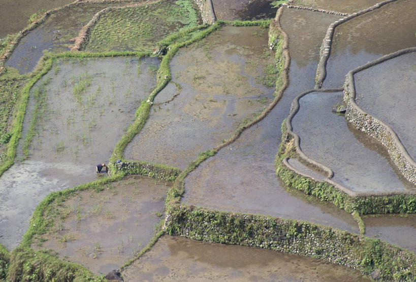 无人,农田,横图,俯视,航拍,室外,白天,旅游,度假,庄稼,梯田,农作物,草地,草坪,岛屿,美景,植物,菲律宾,亚洲,阴影,曲折,弯曲,光线,影子,岛,景观,娱乐,草,树,树木,绿色,阳光,自然,享受,休闲,景色,放松,东南亚,蜿蜒,生长,成长,鸟瞰,自然风光,菲律宾共和国,菲律宾群岛,吕宋岛,列岛,群岛,诸岛,彩图,高角度拍摄,耕地,庄稼田