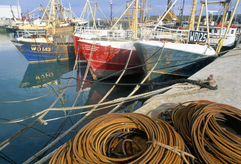 帆船,无人,码头,横图,室外,白天,正面,旅游,度假,湖,湖泊,美景,水,港口,船,爱尔兰,欧洲,一排,许多,阴影,波纹,整齐,光线,英文,标志,数字,文字,影子,字符,字母,湖面,景观,水流,水面,云,云朵,涟漪,很多,云彩,娱乐,标识,排列,蓝色,白云,倒影,蓝天,水纹,天空,阳光,自然,绳子,交通工具,波浪,湖水,天,享受,休闲,景色,放松,阿拉伯数字,晴朗,英文字母,绳索,倒映,西欧,队列,自然风光,载具,爱尔兰共和国,水晕,反照,韦克斯福德郡,晴空,彩图,摆渡口,埠头,渡口,渡头,港湾,海港,货运码头,口岸,商港