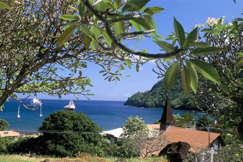 无人,家,横图,室外,白天,正面,旅游,度假,草地,草坪,岛屿,海浪,海洋,美景,植物,阴影,盛开,光线,影子,房屋,屋子,岛,景观,浪花,水平线,辽阔,海平线,花蕾,娱乐,楼房,住宅,草,花,花瓣,花朵,鲜花,树,树木,蓝色,绿色,蓝天,天空,阳光,自然,海水,天,花苞,花蕊,享受,休闲,广阔,景色,放松,生长,晴朗,成长,一望无际,自然风光,大洋洲,海景,法属波利尼西亚,万里无云,法属玻利尼西亚,马克萨斯群岛,无边无际,一马平川,大海,风浪,海,海水的波动,近岸浪,列岛,群岛,涌浪,诸岛,晴空,晴空万里,彩图,房子,水天相接,水天一线