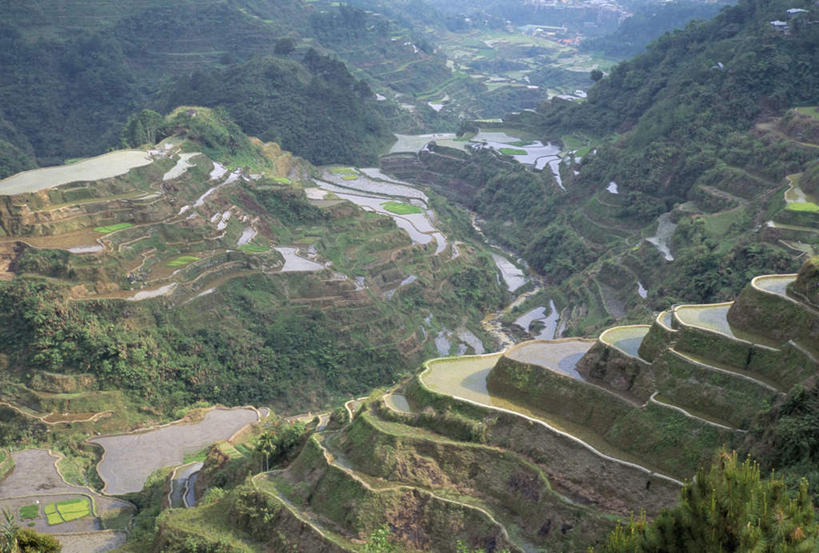 无人,农田,横图,俯视,室外,白天,旅游,度假,庄稼,梯田,农作物,草地,草坪,岛屿,石头,美景,山,山脉,植物,菲律宾,亚洲,阴影,曲折,弯曲,光线,石子,影子,岛,景观,山峰,山峦,娱乐,草,树,树木,绿色,阳光,自然,群山,享受,休闲,景色,放松,东南亚,蜿蜒,生长,成长,自然风光,菲律宾共和国,菲律宾群岛,吕宋岛,列岛,群岛,石块,岩石,诸岛,彩图,高角度拍摄,耕地,庄稼田