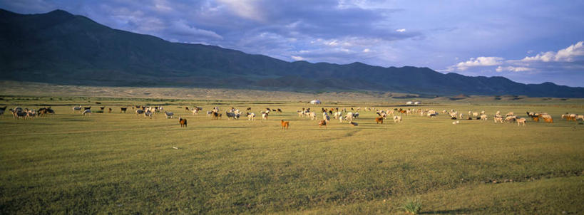 无人,家,横图,室外,白天,正面,旅游,度假,草地,草坪,美景,山,山脉,植物,蒙古,亚洲,阴影,光线,影子,帐篷,房屋,屋子,景观,山峰,云,云朵,山峦,云彩,文化,娱乐,传统,住宅,草,蓝色,绿色,白云,蓝天,天空,阳光,自然,群山,天,享受,休闲,景色,便捷,放松,晴朗,便利,自然风光,东亚,蒙古包,毡房,草原之国,蒙古国,外蒙,外蒙古,晴空,彩图,房子,小屋,毡包,穹庐,毡帐