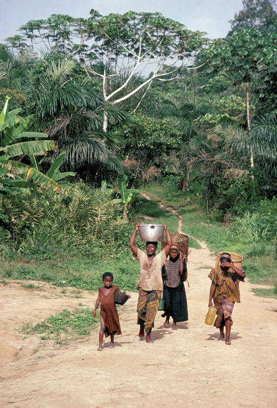 西方人,儿童,四个人,走,交叉,竖图,室外,白天,正面,旅游,度假,美景,树林,植物,道路,路,竹子,欧洲,非洲,黑人,欧洲人,握,阴影,竹制,服装,编织,光线,铁桶,桶,影子,竹篓,景观,云,云朵,小路,交通,拿,云彩,拎,拿着,注视,休闲装,娱乐,树,树木,小孩,骑,衣服,蓝色,绿色,白云,蓝天,天空,阳光,自然,容器,天,观察,看,扛,享受,休闲,休闲服,景色,放松,握着,服饰,生长,晴朗,成长,观看,储藏,竹条,交织,察看,竹制品,储存,关注,自然风光,穿插,西非,扎伊尔,扎伊尔共和国,刚果民主共和国,民主刚果,扛在肩上,骑在肩上,女孩,女人,女性,中年女性,非洲人,晴空,步行,散步,走路,彩图,全身,贮存,女生,拎着