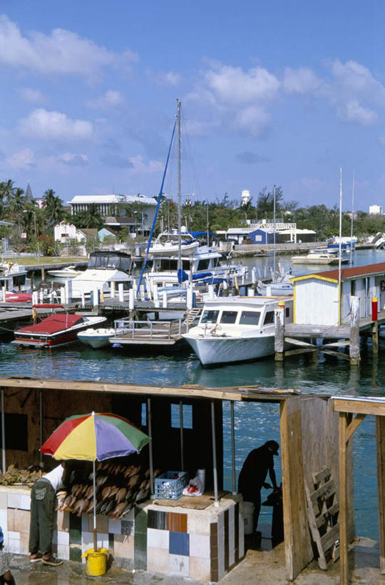 海鲜,西方人,一个人,商店,码头,站,竖图,俯视,室外,白天,度假,美景,植物,城市风光,城市,港口,轮船,船,欧洲,欧洲人,仅一个男性,仅一个人,仅一个中年男性,许多,弯腰,阴影,服装,光线,鱼,伞,影子,雨伞,遮阳伞,景观,云,云朵,云彩,注视,休闲装,娱乐,阳伞,商铺,水产,鱼类,海洋生物,树,树木,排列,衣服,蓝色,绿色,白云,蓝天,天空,阳光,自然,交通工具,天,观察,看,站着,享受,休闲,休闲服,景色,南美,放松,服饰,生长,晴朗,成长,观看,察看,南美洲,西印度群岛,拉丁美洲,关注,载具,水生动物,海产品,美洲,水生物,海底动物,亚美利加洲,弯身,南亚美利加洲,市肆,商号,摆列,男人,男性,中年男性,白种人,晴空,站立,彩图,高角度拍摄,全身,摆渡口,埠头,店铺,渡口,渡头,港湾,海港,货运码头,口岸,商港,布列,分列,巴哈马群岛,拿骚