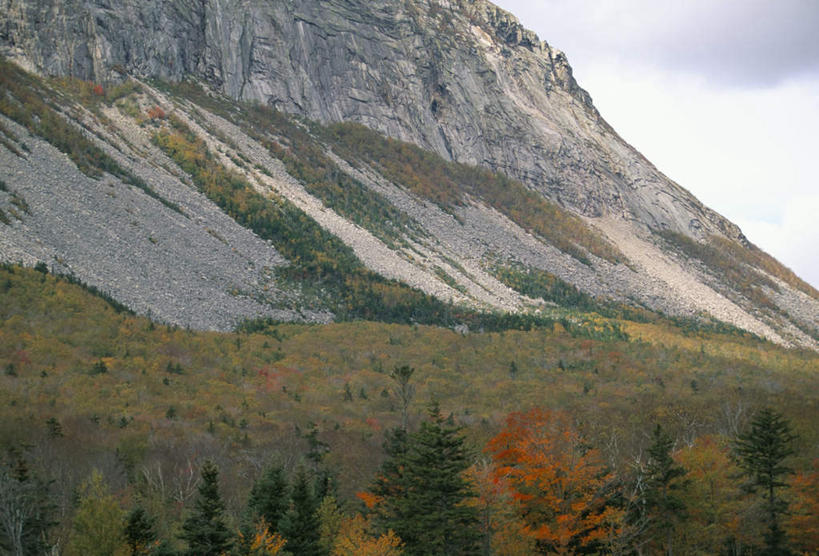 无人,公园,横图,室外,白天,正面,旅游,度假,草地,草坪,石头,美景,森林,山,山脉,树林,植物,美国,阴影,光线,石子,影子,景观,山峰,云,云朵,山峦,云彩,娱乐,草,树,树木,绿色,白云,阳光,自然,群山,享受,休闲,景色,放松,生长,成长,北美,北美洲,国家公园,自然风光,美洲,新罕布什尔州,北亚美利加洲,亚美利加洲,新罕布什尔,新罕布夏州,花岗岩州,花冈岩之州,滑雪之州,白山国家森林公园,白山国家森林,石块,岩石,彩图