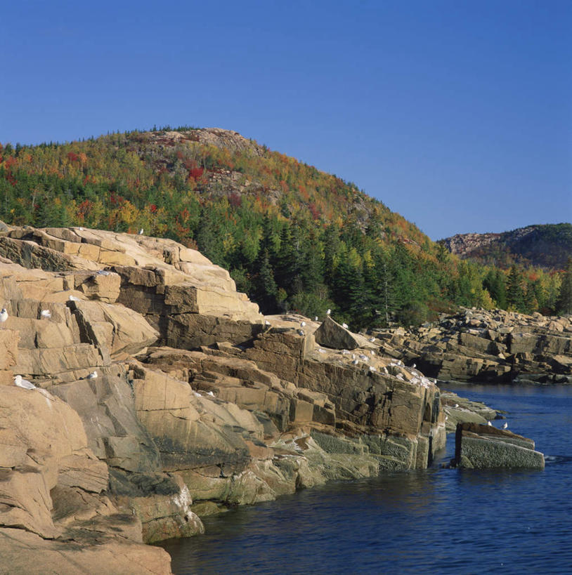 无人,公园,竖图,俯视,室外,白天,旅游,度假,草地,草坪,湖,湖泊,石头,美景,水,植物,美国,阴影,波纹,光线,石子,影子,湖面,景观,水流,水面,悬崖,涟漪,娱乐,草,树,树木,蓝色,绿色,倒影,蓝天,水纹,天空,阳光,自然,波浪,湖水,天,享受,休闲,景色,放松,生长,晴朗,成长,倒映,北美,北美洲,国家公园,自然风光,美洲,缅因州,阿卡迪亚国家公园,万里无云,水晕,北亚美利加洲,亚美利加洲,绝壁,缅因,松林之州,卡地亚国家公园,反照,石块,岩石,晴空,晴空万里,彩图,高角度拍摄