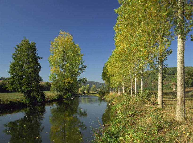 无人,横图,室外,白天,正面,旅游,度假,草地,草坪,河流,美景,水,植物,叶子,法国,欧洲,一排,阴影,整齐,光线,影子,河水,景观,水流,枯叶,落叶,娱乐,草,树,树木,排列,蓝色,绿色,倒影,蓝天,天空,阳光,自然,天,享受,休闲,景色,放松,生长,晴朗,成长,倒映,队列,自然风光,万里无云,法兰西共和国,法兰西第五共和国,反照,下诺曼底,下诺曼底大区,叶,叶片,晴空,晴空万里,彩图