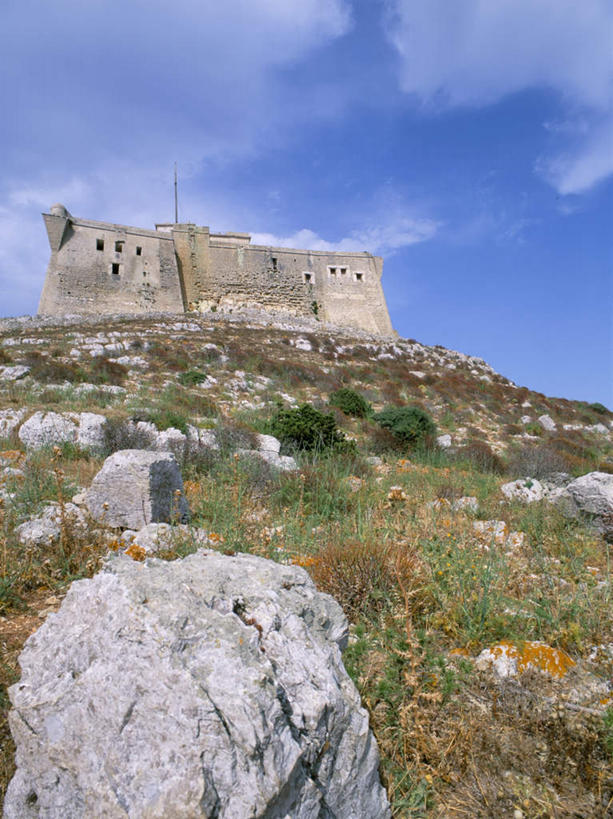 无人,竖图,室外,白天,仰视,旅游,度假,草地,草坪,石头,名胜古迹,山,山脉,植物,标志建筑,地标,建筑,意大利,欧洲,阴影,遗迹,光线,石子,影子,堡垒,城堡,山峰,云,云朵,山峦,云彩,古迹,文物,娱乐,建设,古建筑,草,蓝色,绿色,白云,蓝天,天空,阳光,群山,天,享受,休闲,旅游胜地,放松,晴朗,西西里,要塞,南欧,古文明,意大利共和国,西西里岛,设防,埃加迪群岛,石块,岩石,晴空,彩图,低角度拍摄