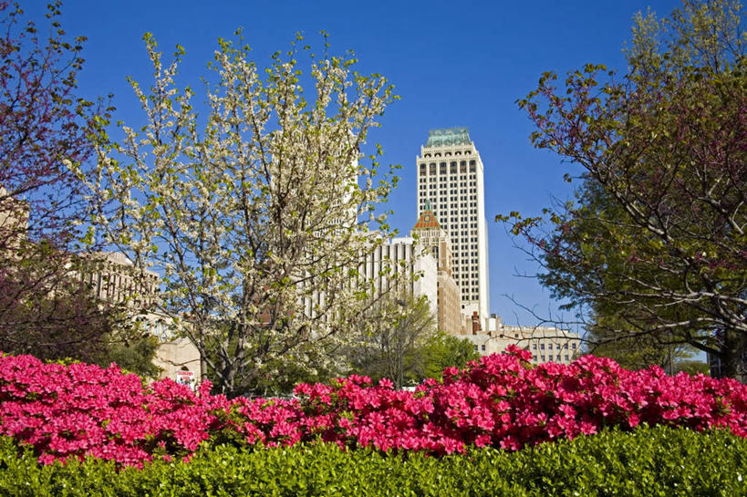 无人,高楼大厦,横图,室外,白天,仰视,度假,兴奋,热情,草地,草坪,花海,花圃,美景,植物,窗户,城市风光,城市,大厦,建筑,摩天大楼,杜鹃花,叶子,美国,阴影,盛开,光线,影子,墙,屋顶,景观,杜鹃,开放,花蕾,顶棚,娱乐,玻璃窗,墙壁,墙面,草,花,花瓣,花朵,花卉,鲜花,树,树木,红色,蓝色,绿色,蓝天,天空,阳光,自然,楼宇,花丛,花束,花田,天,花苞,花蕊,享受,休闲,健康,温暖,景色,奔放,放松,活力,积极,激情,朝气,生长,晴朗,成长,喜悦,暖色,吉祥,北美,北美洲,生命,克制,美洲,饱满,万里无云,红杜鹃,满山红,清明花,清时,山踯躅,红踯躅,北亚美利加洲,亚美利加洲,革命,节制,俄克拉何马,俄克拉何马州,俄克拉荷马州,奥克拉荷马,抢先之州,塔尔萨塔尔萨市,世界油都,石油城,欣喜,热烈,赤色,充实,斗志,喜气,主动,山石榴,映山红,晴空,晴空万里,彩图,低角度拍摄,欢乐,大楼,高层建筑,高楼,摩天楼