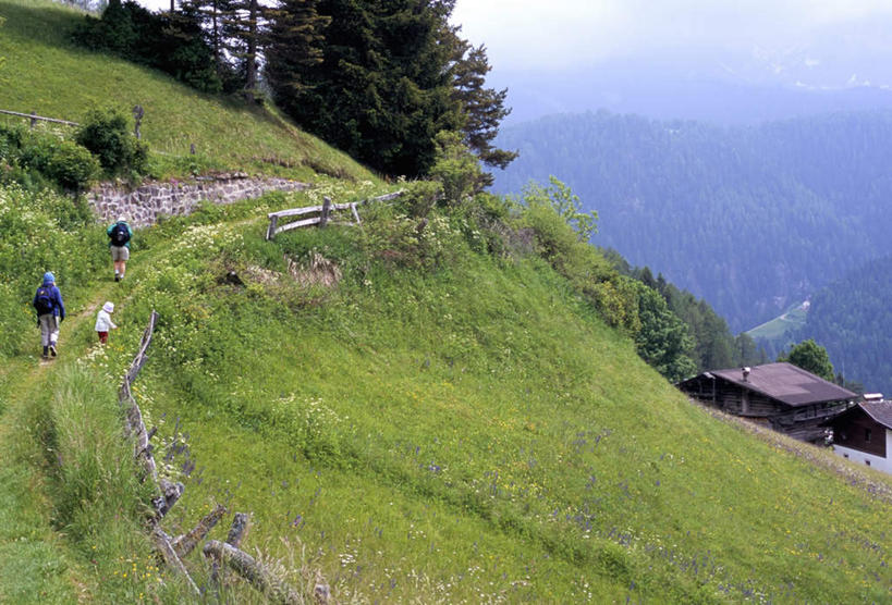 西方人,儿童,三个人,家庭,夫妻,母亲,父亲,儿子,家,走,横图,俯视,室外,白天,爱情,旅游,度假,纯洁,草地,草坪,美景,山,山脉,植物,雾,道路,路,帽子,意大利,欧洲,欧洲人,服装,朦胧,模糊,包,房屋,屋子,景观,山峰,小路,交通,山峦,浪漫,旅行包,注视,休闲装,娱乐,楼房,住宅,草,树,树木,小孩,衣服,绿色,自然,背包,遮阳帽,群山,观察,看,享受,休闲,温暖,温馨,父子,母子,三口之家,一家人,休闲服,景色,恩爱,放松,父爱,可爱,母爱,童年,童趣,恋人,服饰,生长,成长,观看,迷雾,和睦,察看,关注,南欧,自然风光,童真,烂漫,无邪,意大利共和国,旅游包,特伦蒂诺.上阿迪杰大区,多罗迈特山,天真,男孩,男人,男性,年轻男性,年轻女性,女人,女性,白种人,孩子,年轻人,夫妇,情侣,大雾,步行,散步,走路,彩图,高角度拍摄,全身,房子,伴侣,融洽,双肩包,男生