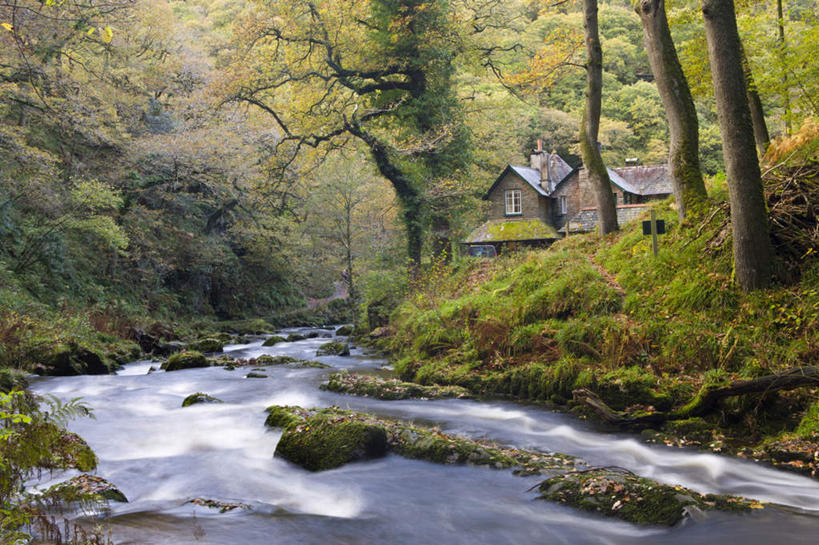 无人,公园,家,横图,室外,白天,正面,旅游,度假,草地,草坪,河流,石头,美景,森林,树林,水,植物,英国,欧洲,阴影,波纹,光线,石子,影子,房屋,屋子,河水,景观,水流,青苔,苔藓,涟漪,娱乐,楼房,住宅,草,树,树木,绿色,倒影,水纹,小溪,阳光,自然,波浪,溪水,享受,休闲,景色,放松,生长,成长,倒映,国家公园,西欧,自然风光,大不列颠,大不列颠及北爱尔兰联合王国,水晕,大不列颠联合王国,日不落英帝国,反照,德文郡,达特穆尔,达特穆尔国家公园,石块,岩石,彩图,房子