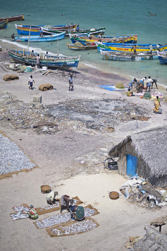 海鲜,伙伴,朋友,家,码头,站,拉,竖图,俯视,航拍,室外,白天,旅游,度假,友谊,合作,团队,海浪,海洋,沙滩,港口,船,印度,亚洲,许多,停靠,握,阴影,服装,光线,鱼,沙子,影子,房屋,屋子,海岸,浪花,木船,沙地,许多人,拿,拿着,注视,休闲装,娱乐,水产,鱼类,楼房,海洋生物,住宅,衣服,阳光,海水,绳子,交通工具,观察,看,站着,一群人,享受,休闲,休闲服,放松,战略,握着,服饰,观看,绳索,察看,舟,鸟瞰,关注,停泊,载具,水生动物,海产品,南亚,水生物,海景,海底动物,印度共和国,联合,合谋,泰米尔纳德邦,泰米尔纳德,配合,协作,男人,男性,中年男性,亚洲人,印度人,大海,风浪,海,海水的波动,海滩,近岸浪,涌浪,站立,彩图,高角度拍摄,全身,房子,摆渡口,埠头,渡口,渡头,港湾,海港,货运码头,口岸,商港