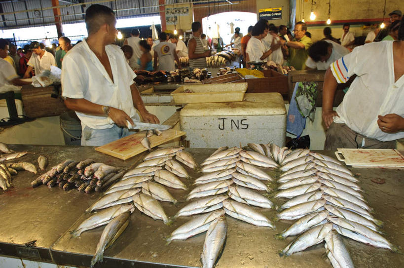 海鲜,西方人,站,横图,俯视,室内,白天,工作服,制服,旅游,度假,桌子,照明,巴西,欧洲,欧洲人,许多,阴影,光线,鱼,影子,办公桌,灯光,许多人,注视,娱乐,货摊,商贩,水产,鱼类,吊灯,顾客,海洋生物,灯,排列,阳光,灯具,观察,看,站着,一群人,享受,休闲,南美,放松,观看,照亮,察看,南美洲,照明设备,拉丁美洲,关注,水生动物,海产品,美洲,水生物,海底动物,巴西联邦共和国,首府,亚美利加洲,南亚美利加洲,摆列,工作制服,马瑙斯,亚马孙,亚马孙州,主顾,男人,男性,女人,女性,中年男性,中年女性,白种人,商人,站立,半身,彩图,高角度拍摄,工作套服,布列,分列
