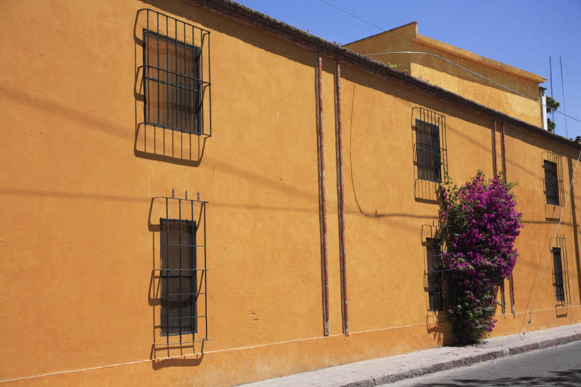 无人,栏杆,横图,室外,特写,白天,正面,旅游,度假,植物,窗户,叶子,墨西哥,一排,阴影,整齐,盛开,光线,纹理,影子,栅栏,墙,篱笆,围栏,绿叶,花蕾,娱乐,护栏,玻璃窗,墙壁,墙面,花,花瓣,花朵,鲜花,排列,黄色,绿色,阳光,花苞,花蕊,享受,休闲,嫩叶,放松,北美,北美洲,队列,美洲,肌理,北亚美利加洲,亚美利加洲,墨西哥合众国,仙人掌王国,克雷塔罗,克雷塔罗州,叶,叶片,叶脉,彩图