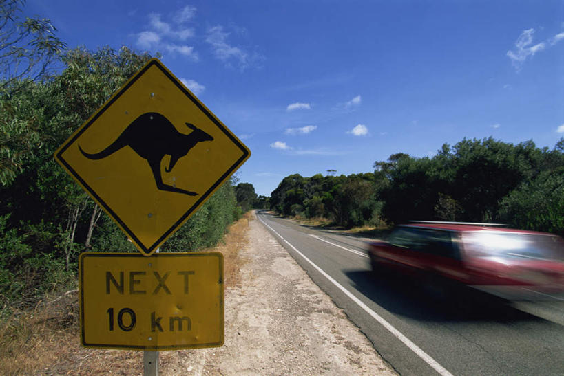 无人,横图,室外,白天,正面,旅游,度假,美景,植物,道路,路,公路,汽车,澳大利亚,一辆,一排,阴影,朦胧,模糊,整齐,光线,英文,标志,文字,影子,字符,字母,景观,云,云朵,交通,警告,云彩,娱乐,标识,车,树,树木,排列,蓝色,绿色,白云,蓝天,天空,阳光,自然,交通工具,轿车,天,享受,休闲,景色,放松,警示,生长,晴朗,成长,英文字母,禁止,迅速,提醒,敏捷,队列,提示,限制,自然风光,载具,大洋洲,澳洲,南方大陆,澳大利亚联邦,袋鼠岛,坎加鲁岛,疾速,危险,晴空,马路,彩图