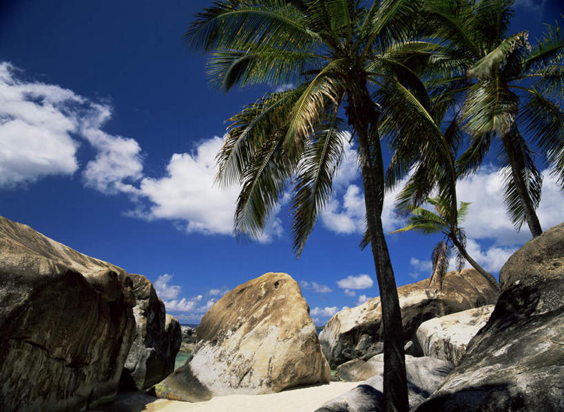 无人,横图,室外,白天,仰视,旅游,度假,石头,美景,植物,棕榈树,叶子,加勒比海,阴影,光线,石子,影子,景观,云,云朵,绿叶,云彩,娱乐,树,树木,蓝色,绿色,白云,蓝天,天空,阳光,自然,天,享受,休闲,嫩叶,景色,南美,放松,生长,晴朗,成长,南美洲,拉丁美洲,自然风光,美洲,棕榈叶,英属维尔京群岛,维京群岛,亚美利加洲,南亚美利加洲,维尔京戈尔达岛,英属处女群岛,叶,叶片,石块,岩石,晴空,彩图,低角度拍摄
